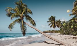 COMBINÉ MARTINIQUE <br>GUADELOUPE & SAINTES<br>DEMI-PENSION