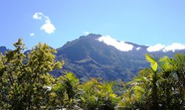 TOUR DE LA RÉUNION