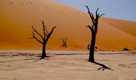 L’ESSENTIEL DE LA NAMIBIE