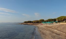 BUDONI