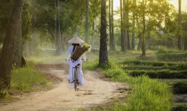 Beautés du nord du Vietnam