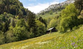 LE JURA
